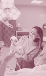 istanbul genital estetik Doç. Dr. Pinar Kadiroğulları