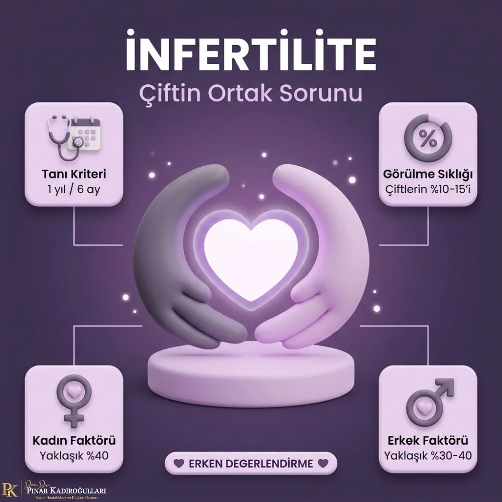 istanbul infertilite ne demek