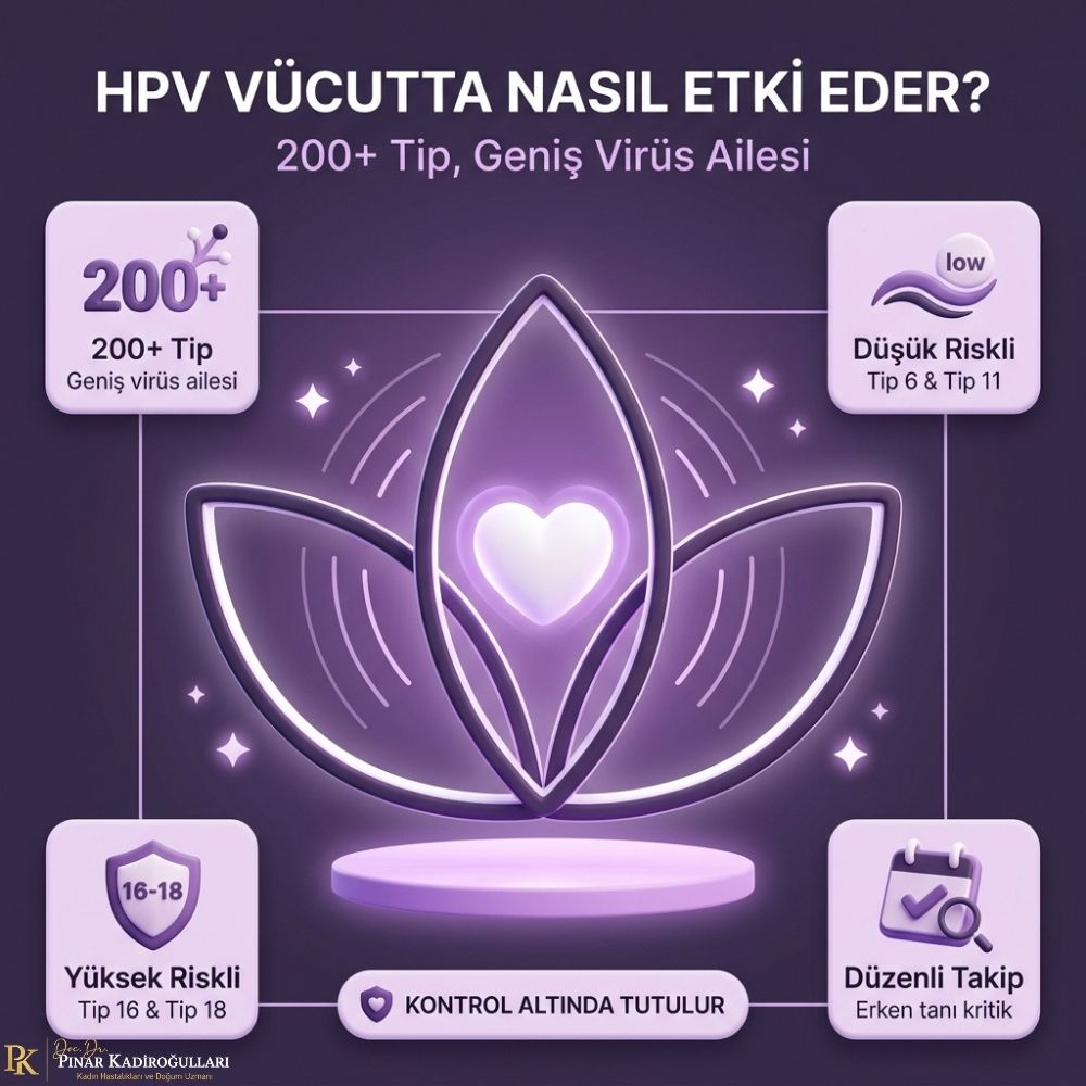 hpv pozitif ne demek