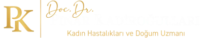 istanbul Jinekoloji uzmanı Doç. Dr. Pınar Kadiroğulları