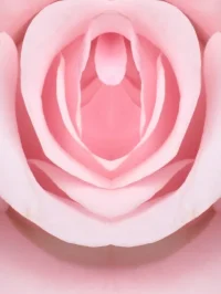 Hudoplasti (Klitoris Estetiği) istanbul